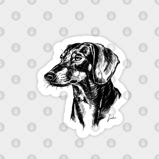 Dachshund dog drawing Sticker by SakalDesign